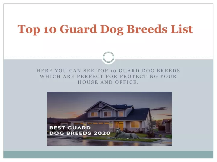 top 10 guard dog breeds list