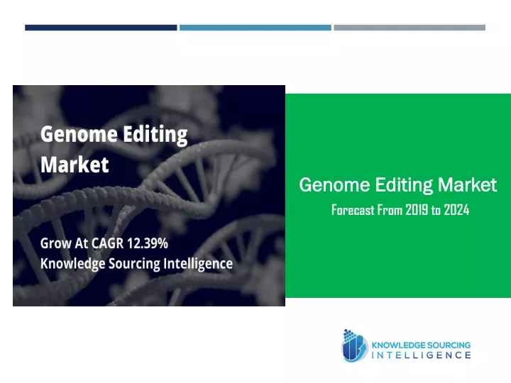 genome editing market forecast from 2019 to 2024