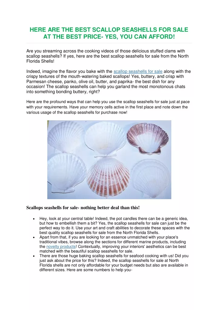 here are the best scallop seashells for sale