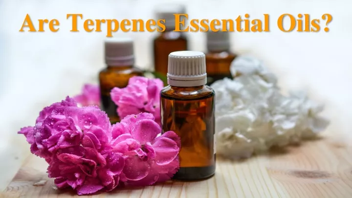 are terpenes essential oils