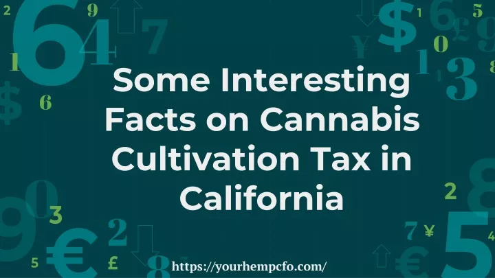 some interesting facts on cannabis cultivation tax in california