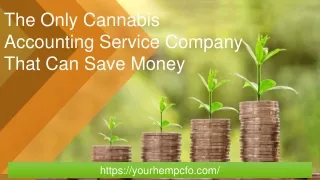 The Only Cannabis Accounting Service Company That Can Save Money