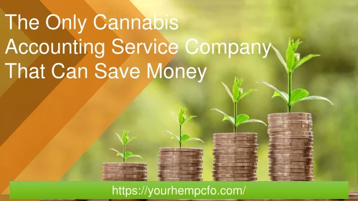 the only cannabis accounting service company that