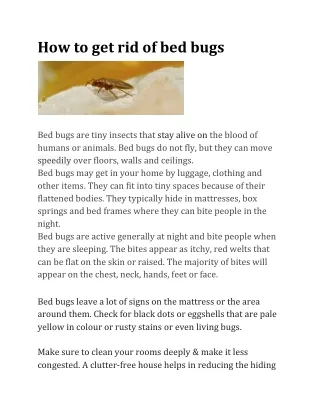 Bed Bug Exterminator Brooklyn NY | Bed Bug Exterminator NYC