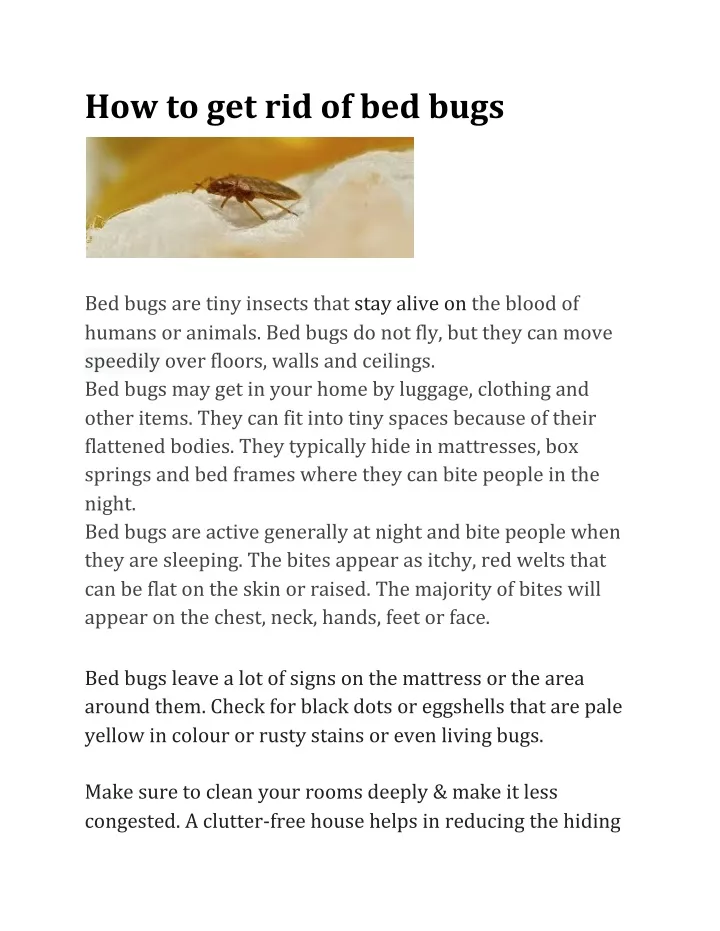 how to get rid of bed bugs