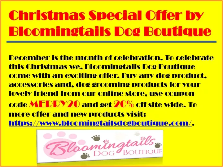 christmas special offer by christmas special