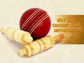 You Must Understand The Cricket Odds And Place Bets From Only Trustable Sites