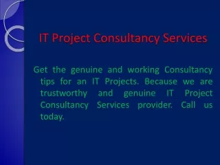 it project consultancy services