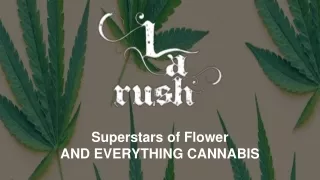superstars of flower and everything cannabis