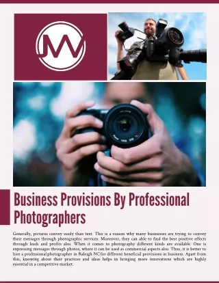 Business Provisions By Professional Photographers