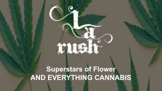 superstars of flower and everything cannabis