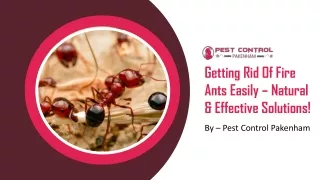 Getting Rid Of Fire Ants Easily – Natural & Effective Solutions