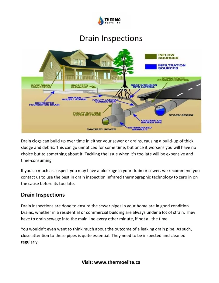 drain inspections