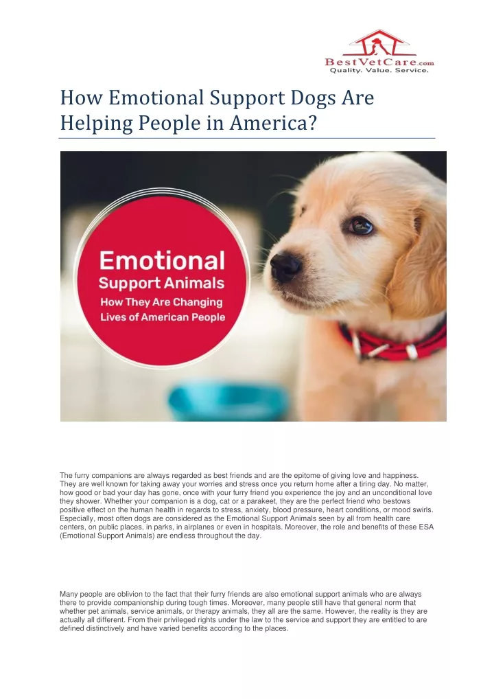 how emotional support dogs are helping people