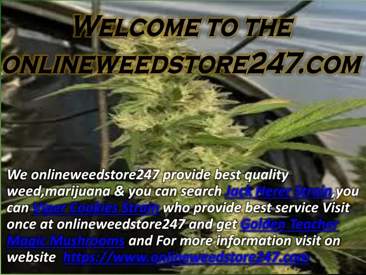 welcome to the onlineweedstore247 com
