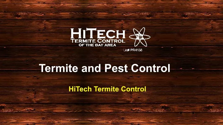 termite and pest control