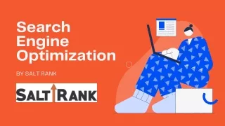 Search Engine Optimization - Salt Rank