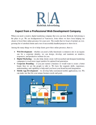 Expect from a Professional Web Development Company