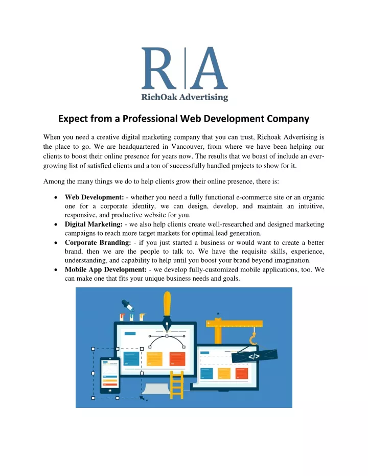 expect from a professional web development company