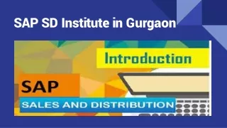 SAP SD Institute in Gurgaon