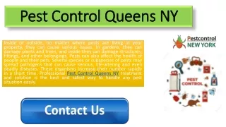 Pest Control Queens NY