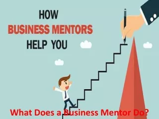 What Does a Business Mentor Do?