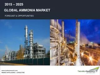 Ammonia Market  Share & Size, Industry Report, 2025