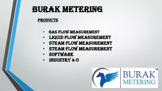 Natural Gas Flow Meter