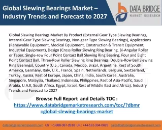 Global Slewing Bearings Market Comprehensive Analysis on Challenging Factors