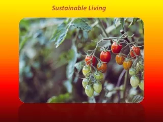 sustainable living