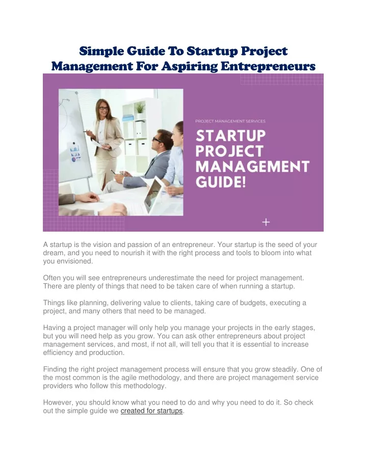 simple guide to startup project management