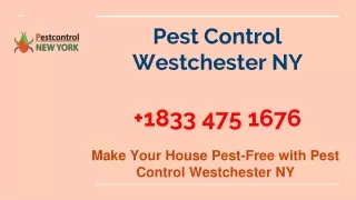 Pest Control Westchester NY