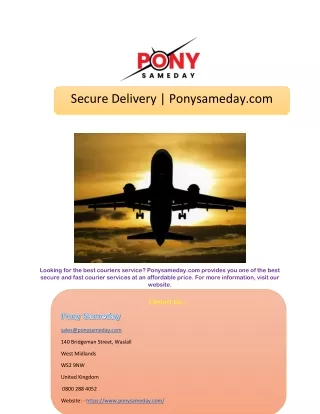Secure Delivery | Ponysameday.com
