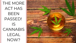The MORE Act has been Passed! Is Cannabis Legal Now?