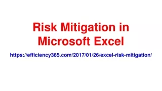 Risk Mitigation in Microsoft Excel