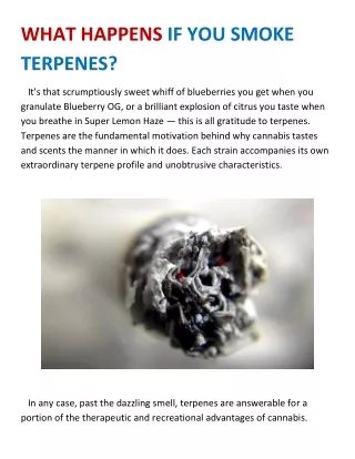 WHAT HAPPENS IF YOU SMOKE TERPENES?