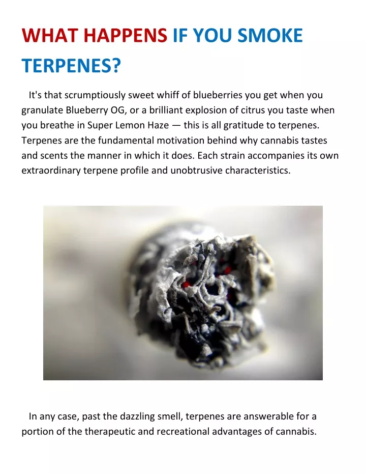 what happens if you smoke terpenes