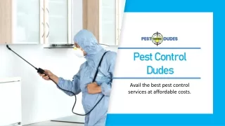 Avail the Best Pest Control Services at Affordable Costs | Pest Control Dudes | Pest Infestations