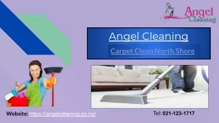 Carpet Cleaning North Shore