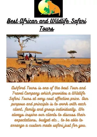 Best African and Wildlife Safari Tour