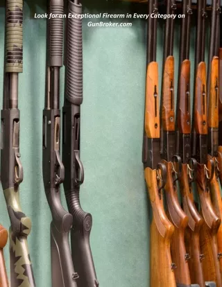 look for an exceptional firearm in every category
