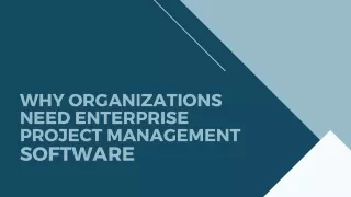 why organizations need enterprise project