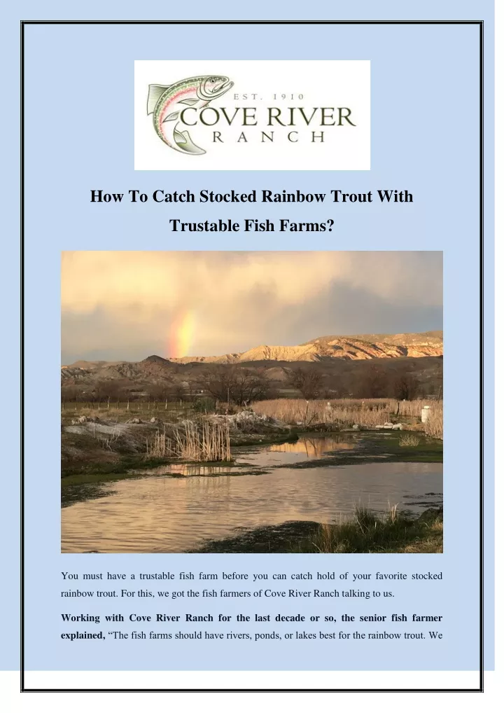 how to catch stocked rainbow trout with