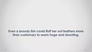 even a broody fish could fluff her out feathers more than customary to seem huge and daunting