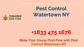 Pest Control Watertown NY