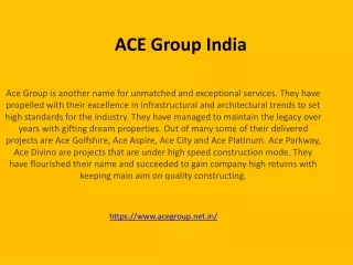 ACE Group India