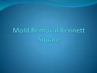 mold removal kennett square