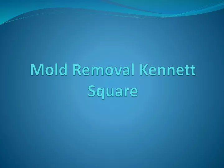 mold removal kennett square