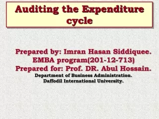 Auditing expenditure CyCle