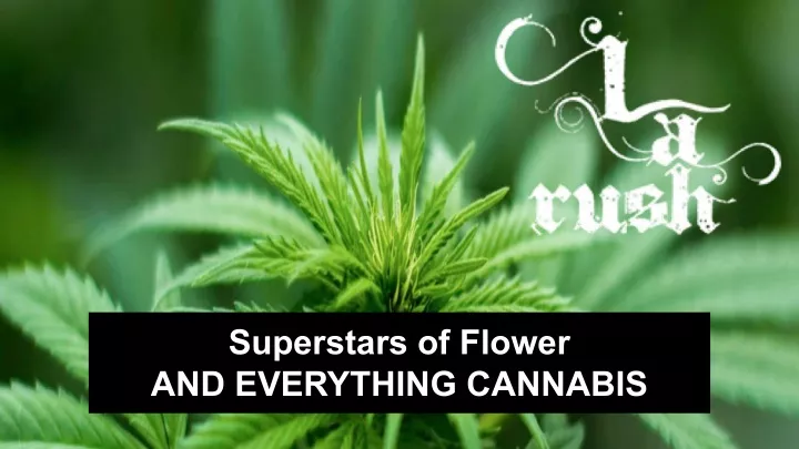 superstars of flower and everything cannabis